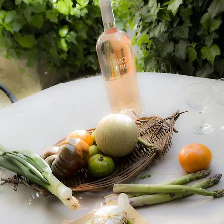 , Ancien Des Colonnes Casa de hóspedes Riez